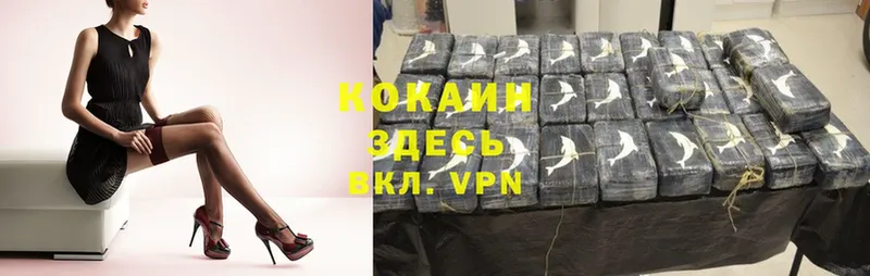 КОКАИН FishScale  blacksprut вход  Новозыбков 